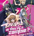 Kore wa zonbi desu ka? (2011–2012)