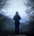 The Invisible Guardian (2017) HDRip