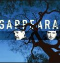 The Disappearance (2017-)
