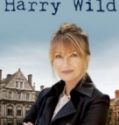 Harry Wild (2022-) Harry Wild (2022-)
